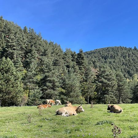 Apartamento La Molina Alp Zewnętrze zdjęcie
