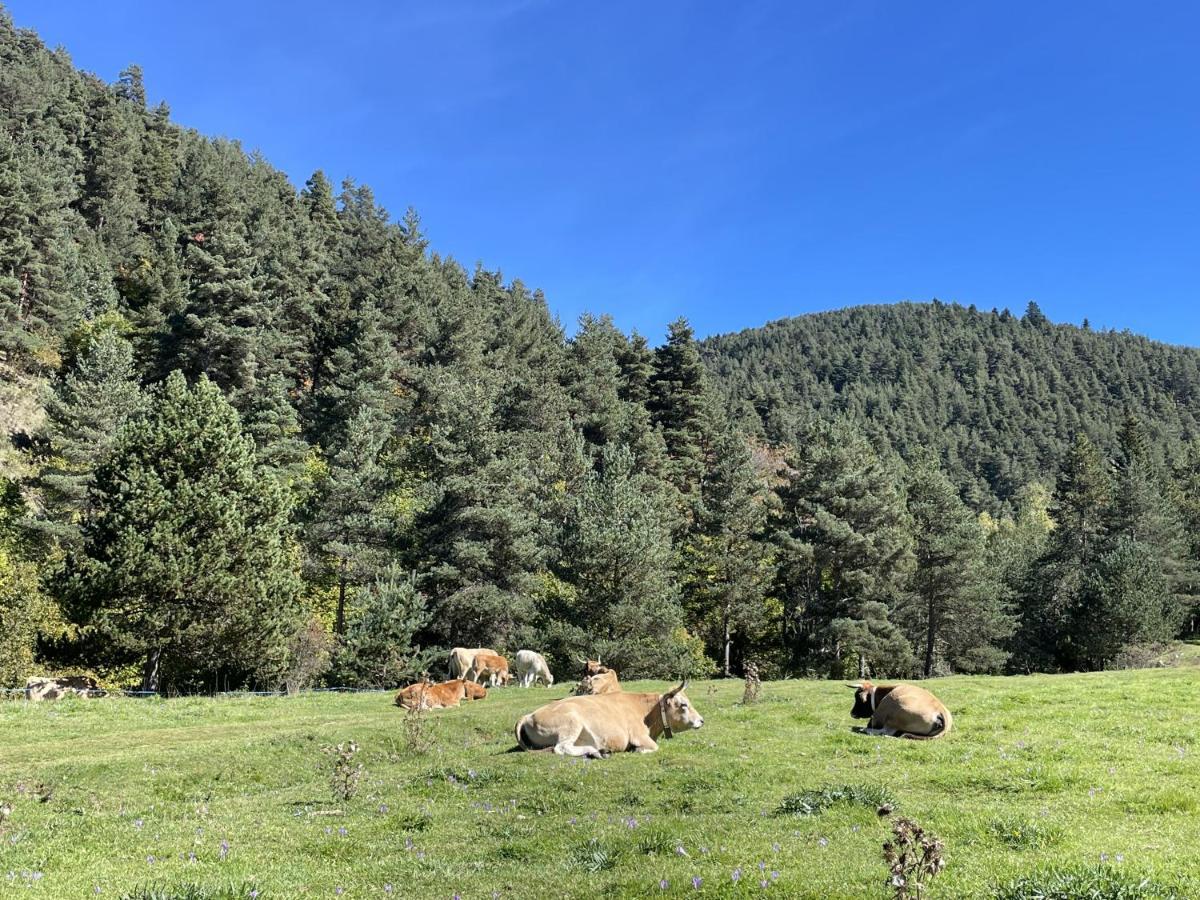 Apartamento La Molina Alp Zewnętrze zdjęcie